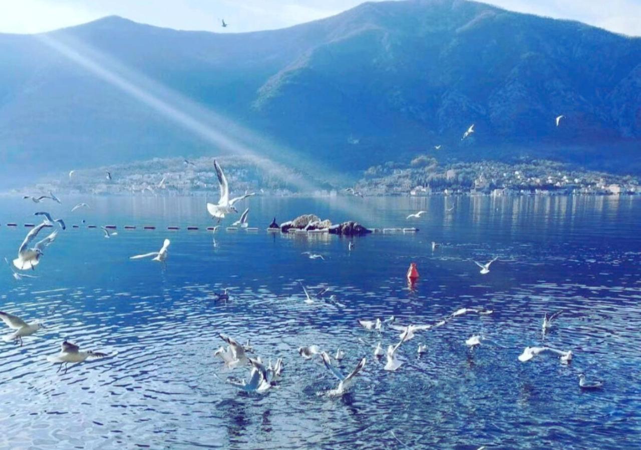 Kadena Apartments Kotor Luaran gambar